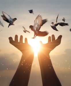 Fototapeta Ženské ruce