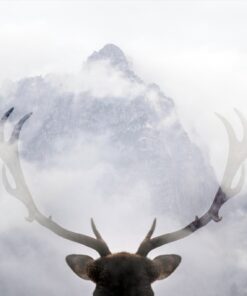 Fototapeta Rohy v horách