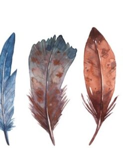 Fototapeta Indické peří