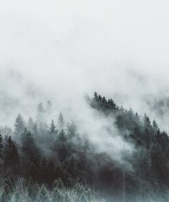 Fototapeta Tekoucí mlha