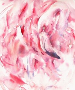 Fototapeta Flamingo vzhled