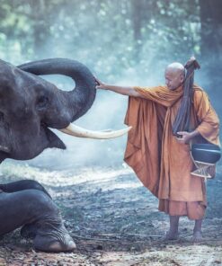 Fototapeta Mnich a slon