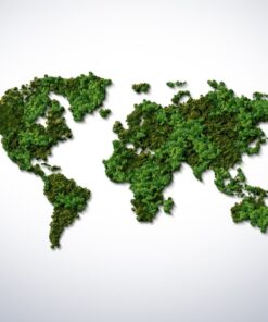 Fototapeta Zelená mapa