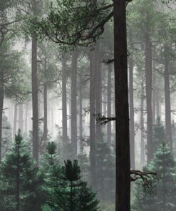 Fototapeta Vysoké stromy 2