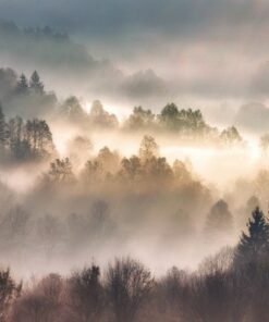 Fototapeta Poranek we Mgle