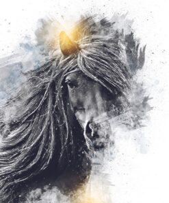 Fototapeta The Majestic Horse