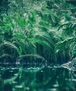 Fototapeta Zeleň nad vodou