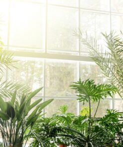 Fototapeta Botanická zahrada