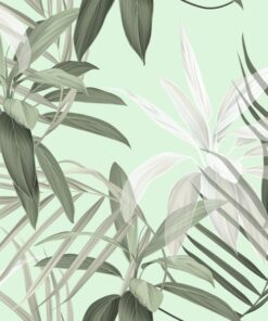 Fototapeta Cordillin leaves