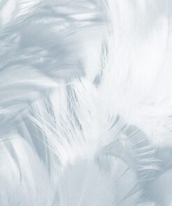 Fototapeta Lehkost pastelů