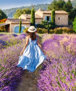 Fototapeta Procházka v Provence