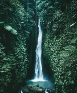 Fototapeta Vodopád džungle