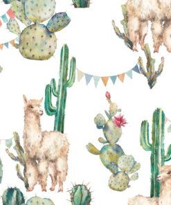 Fototapeta Lama s kaktusy