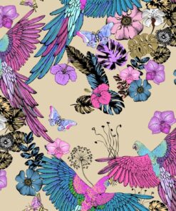 Fototapeta Birds of Paradise