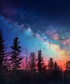 Fototapeta Stromy a mléčná dráha