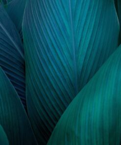 Nálepka na zeď listové pozadí