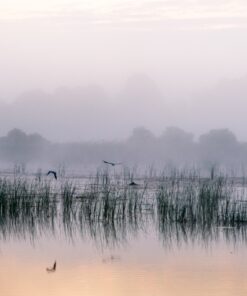 Fototapeta Misty Dawn