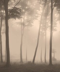 Fototapeta Heavy Fog