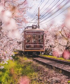 Fototapeta Spring Train