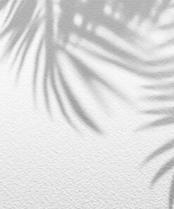 Samolepka na stěnu Leaf shadow