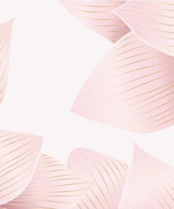 Fototapeta Pink Petals