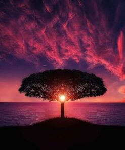 Fototapeta Kouzelný strom 2