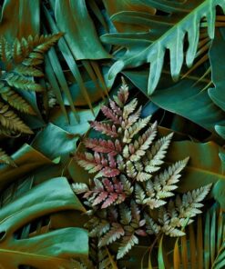 Fototapeta Green Composition