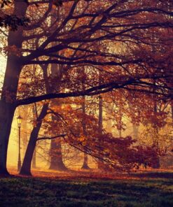 Fototapeta Podzimní krajina