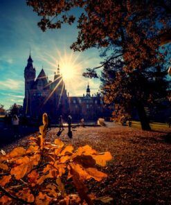 Fototapeta Podzimní slunce