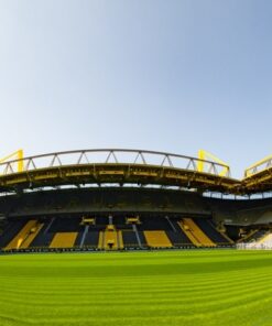 Fototapeta Zelený trávník