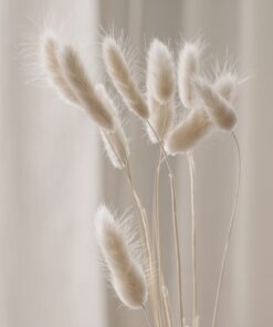 Fototapeta Cream Bouquet