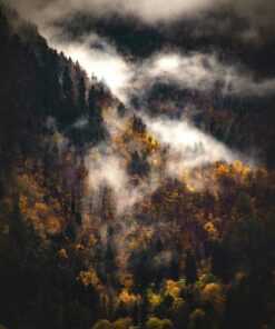 Fototapeta Autumn Fog 2