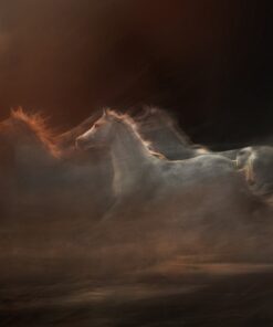 Samolepka na stěnu Stín koně