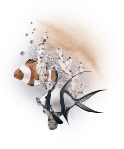 Fototapeta Coral Fish