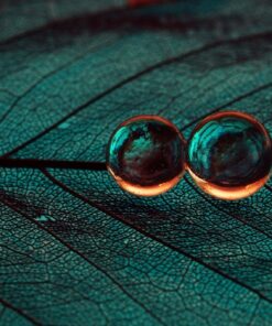 Fototapeta Two Drops