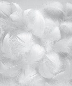 Samolepka na zeď Bílé peří 3