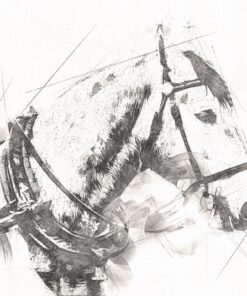 Fototapeta Ilustrace koně