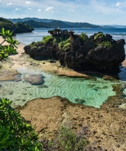 Fototapeta Natural Green