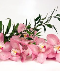 Fototapeta Roses Orchids