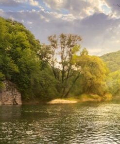 Fototapeta Forest River