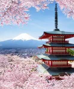 Fototapeta Cherry Pagoda