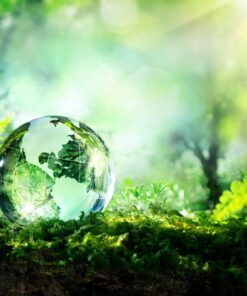 Fototapeta Zelená koule