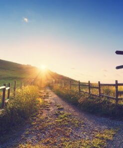 Fototapeta Oplocená cesta