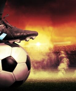 Fototapeta Ball Stop!