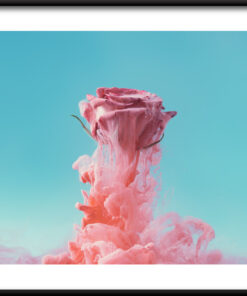 Plakát Plovoucí Růže