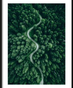 Zelená cesta plakát 3