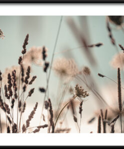 Plakát suché trávy