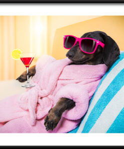 Plakát Pes v županu