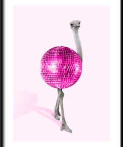 Plakát na disco pštros