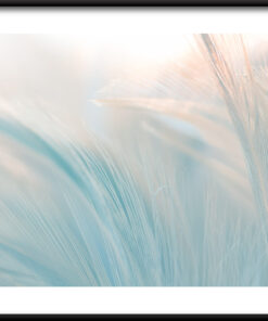 Plakát jemného vánku